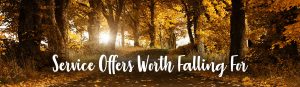 Service Coupons in brandon